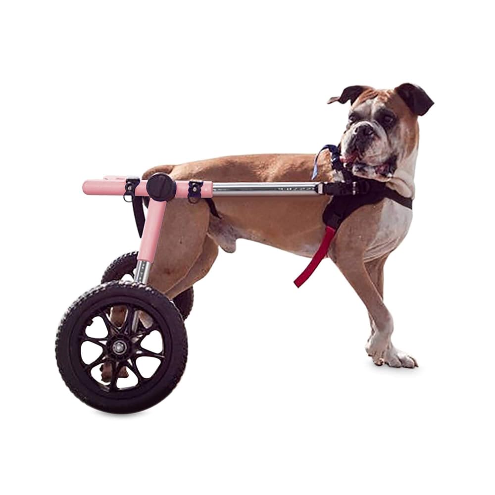 Amazon.com: Walkin' Wheels 狗輪椅- 適合70-180 磅(約31.8-81.6